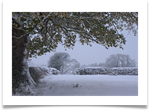 15 - Winter - Chris Beesley